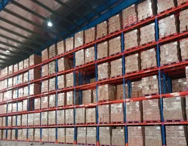 Sản phẩm 2 1744172126.png — Euro Storages - Công Ty TNHH Giải Pháp Lưu Trữ Châu Âu — MST 0310652848
