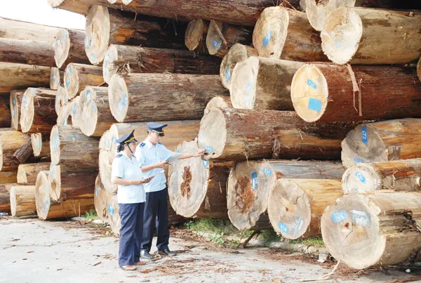 Sản phẩm 4520160509112825 — Công Ty TNHH Vận Tải Quốc Tế Lưu Chuyển — MST 0310667072