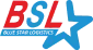 Logo Công Ty TNHH Giao Nhận Quốc Tế Ngôi Sao Xanh