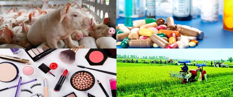 Sản phẩm chan nuoi thuc pham duoc pham my pham 8192 — Công Ty TNHH Thương Mại Hóa Chất Hoàng Giang — MST 0310669665