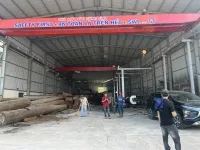Sản phẩm 870420245011_s_z5419670285863_62b5eb48bfd0f0151a35e9bdb9611cf1 — Công Ty TNHH Cầu Trục Và Thang Máy Đệ Nhất — MST 0310713836