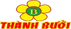 Sản phẩm cty thanh buoi — Công Ty TNHH Giải Pháp Phần Mềm Winmain — MST 0310716192