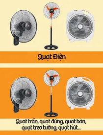 Sản phẩm quat dien — Công Ty TNHH Thương Mại Dịch Vụ Đoàn Vi Nguyên — MST 0310743936