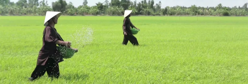 Sản phẩm phanbon — Công Ty TNHH Sản Xuất Thương Mại Và Dịch Vụ Phi Mao — MST 0310765383