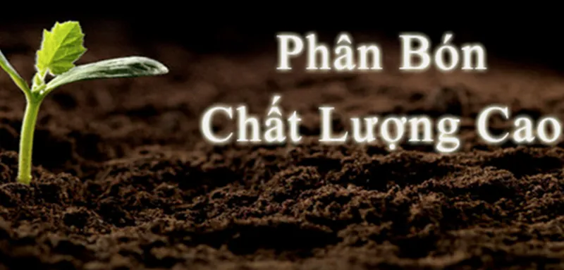 Sản phẩm sl2 — Công Ty TNHH Sản Xuất Thương Mại Và Dịch Vụ Phi Mao — MST 0310765383