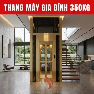 Sản phẩm thumb_1775208566_5623_thang may gia dinh 350kg — Thang Máy Gia Đình Hoàng Sa Việt - Công Ty TNHH Đầu Tư Và Phát Triển Hoàng Sa
Việt — MST 0310779837
