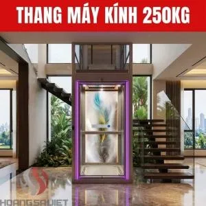 Sản phẩm thumb_1775899051_3189_Thang may kinh 250kg — Thang Máy Gia Đình Hoàng Sa Việt - Công Ty TNHH Đầu Tư Và Phát Triển Hoàng Sa
Việt — MST 0310779837