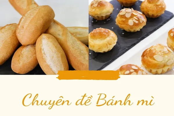 Sản phẩm chuyen de banh mi — Công Ty Cổ Phần Hướng Nghiệp Á Âu — MST 0310814739