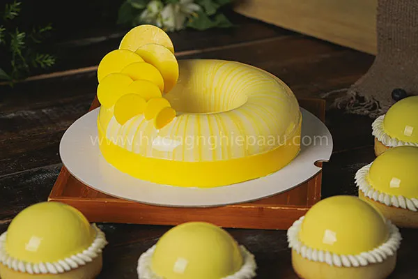 Sản phẩm khoa hoc banh quoc te — Công Ty Cổ Phần Hướng Nghiệp Á Âu — MST 0310814739
