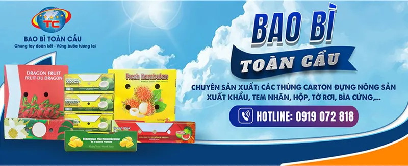 Sản phẩm 425294336576752 9062 8780 — Công Ty TNHH Sản Xuất In Bao Bì Toàn Cầu — MST 0310840672