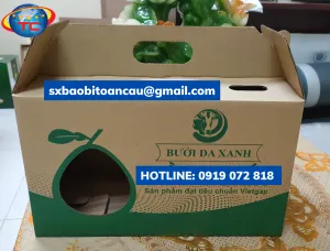 Sản phẩm in bao bi toan cau thung carton duc lo2 6079 — Công Ty TNHH Sản Xuất In Bao Bì Toàn Cầu — MST 0310840672
