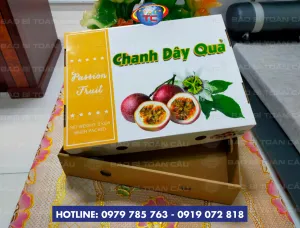 Sản phẩm khay am duong dung chanh day gia re tai cu chi 9814 — Công Ty TNHH Sản Xuất In Bao Bì Toàn Cầu — MST 0310840672