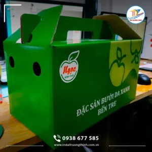 Sản phẩm in hop giay co quai xach 2 300x300 — In Đại Trường Thịnh - Công Ty TNHH Sản Xuất Đầu Tư Thương Mại Dịch Vụ Đại Trường
Thịnh — MST 0310846057