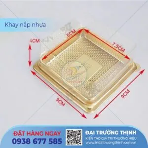 Sản phẩm khay nap nhua 1 300x300 — In Đại Trường Thịnh - Công Ty TNHH Sản Xuất Đầu Tư Thương Mại Dịch Vụ Đại Trường
Thịnh — MST 0310846057