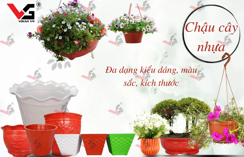 Sản phẩm tuyen dai ly phan phoi chau cay volgaplastic 1 — Bao Bì Nhựa Volga VN - Công Ty Cổ Phần Volga VN — MST 0310848819