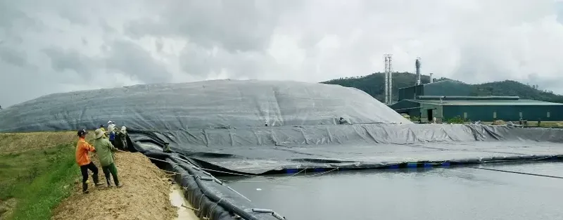 Sản phẩm ung dung co dinh tham da bang he thong chot tai du an bo bien 68f662 — Công Ty Cổ Phần Vật Tư Công Trình Hưng Phú — MST 0310855710