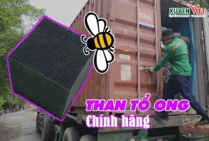 Sản phẩm Xuyen Viet chuyen than hoat tinh to ong loc khi 300x203 — Cát Xây Dựng Xuyên Việt - Công Ty TNHH Môi Trường Xuyên Việt — MST 0310866342