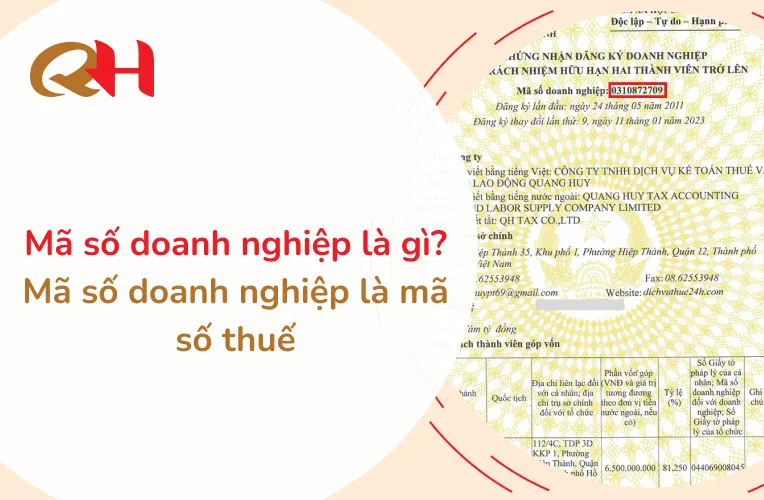 Sản phẩm ma so doanh nghiep la gi — Thuế Quang Huy - Công Ty TNHH Dịch Vụ Kế Toán Thuế Và Cung ứng Lao Động Quang
Huy — MST 0310872709