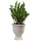 Sản phẩm kim phĂ¡t tĂ i 140x140.JPG — Công Ty TNHH Đầu Tư Cuộc Sống — MST 0310901251