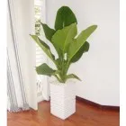 Sản phẩm fdsfsdfdsf 140x140 — Công Ty TNHH Đầu Tư Cuộc Sống — MST 0310901251