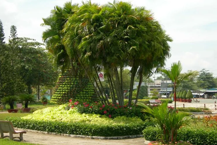 Sản phẩm cây công trình.JPG — Công Ty TNHH Đầu Tư Cuộc Sống — MST 0310901251