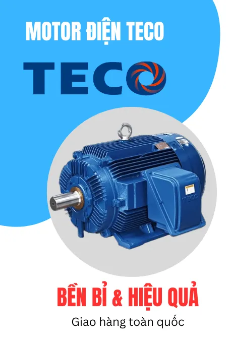 Sản phẩm 1 — Công Ty TNHH Xuất Nhập Khẩu Thương Mại Dịch Vụ Tia Chớp — MST 0310905584