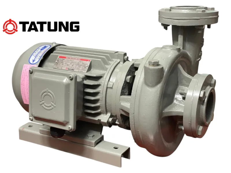 Sản phẩm z6519379276583_5a25b7f6bee383f6ab880f1f7eb0688e — Công Ty TNHH Xuất Nhập Khẩu Thương Mại Dịch Vụ Tia Chớp — MST 0310905584