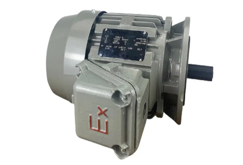 Sản phẩm motor tatung phong no tefc x b5 — Công Ty TNHH Xuất Nhập Khẩu Thương Mại Dịch Vụ Tia Chớp — MST 0310905584