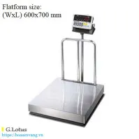 Sản phẩm can ban dien tu dbi sps 300kg cas cty hoasenvang 030 — Cân Điện Tử HSV - Công Ty TNHH Thiết Bị Đo Lường Hoa Sen Vàng — MST 0310911570