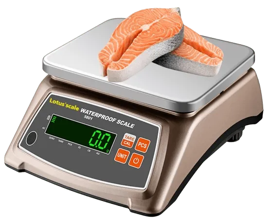Sản phẩm Can chong nuoc dien tu Zelus 30kg 5806 SILVER water proof scale 2408 hoasenvang min — Cân Điện Tử HSV - Công Ty TNHH Thiết Bị Đo Lường Hoa Sen Vàng — MST 0310911570