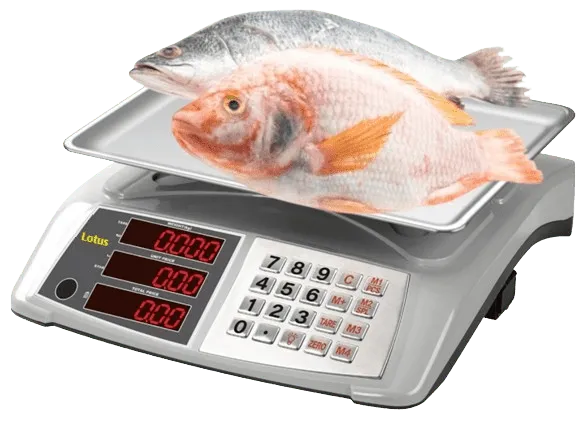 Sản phẩm Can tính tien dien tu Zelus 30kg ZP 5025C GRAY price scale 2408 hoasenvang min — Cân Điện Tử HSV - Công Ty TNHH Thiết Bị Đo Lường Hoa Sen Vàng — MST 0310911570