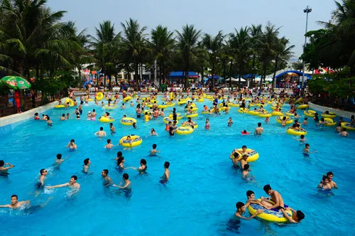 Sản phẩm 36693880 — Công Ty TNHH Xây Dựng Thương Mại Dịch Vụ Thiết Kế Đại Dương — MST 0310921177