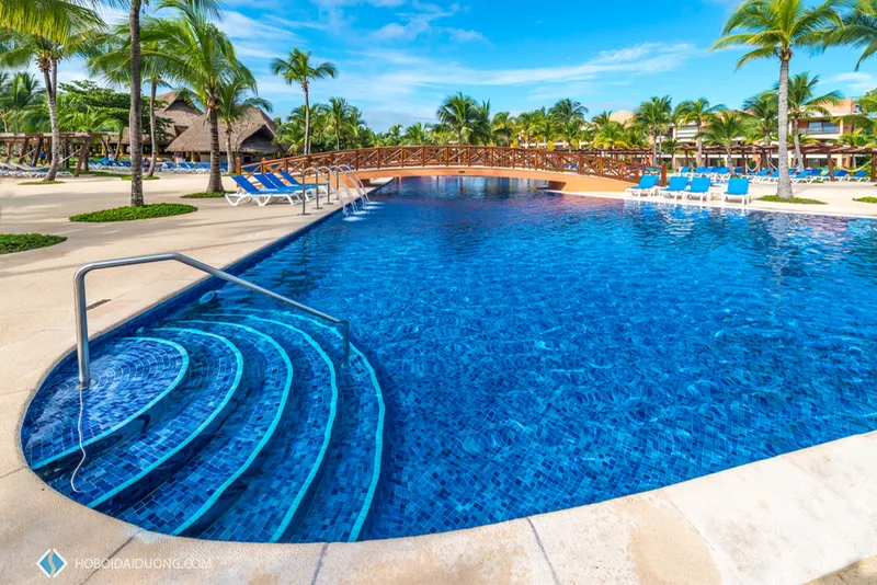 Sản phẩm 39630573 — Công Ty TNHH Xây Dựng Thương Mại Dịch Vụ Thiết Kế Đại Dương — MST 0310921177