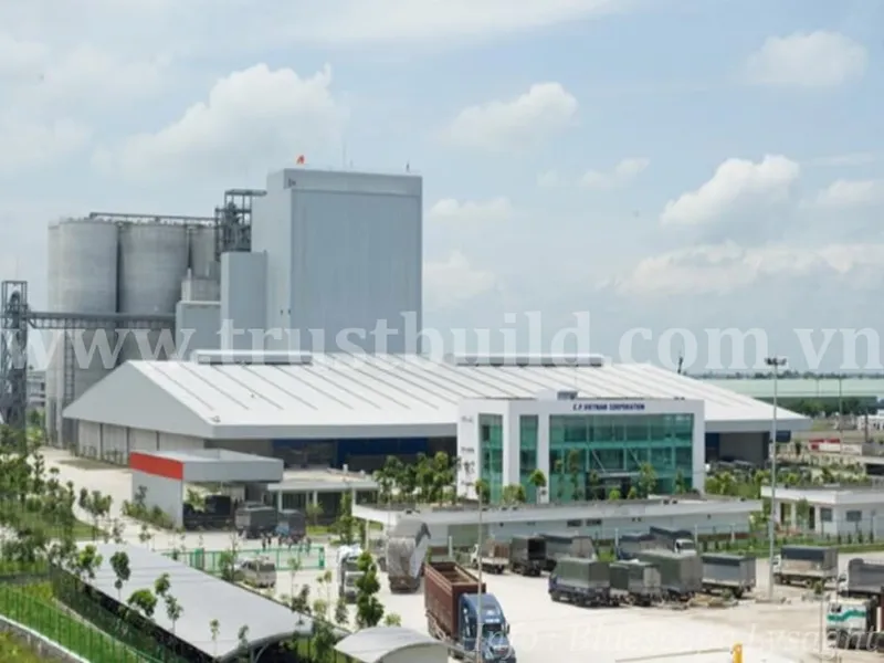 Sản phẩm CP HAI DUONG — Công Ty TNHH Trustbuild — MST 0310939093