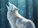 Sản phẩm CÔNG TY TNHH URA WOLF5026_150x110 — Công Ty TNHH Thương Mại Dịch Vụ Vị Gia — MST 0310943533