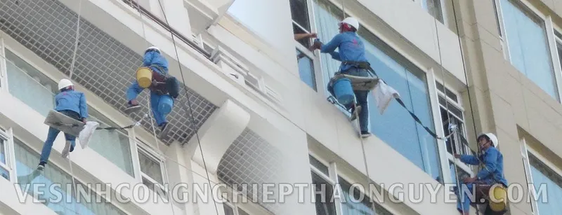Sản phẩm 7 — Công Ty TNHH Thương Mại Dịch Vụ Vệ Sinh Thảo Nguyên — MST 0310946823