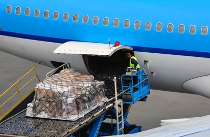 Sản phẩm ourservices03 — Vận Tải Pacific Airlift - Công Ty TNHH Pacific Airlift Việt Nam — MST 0310993069