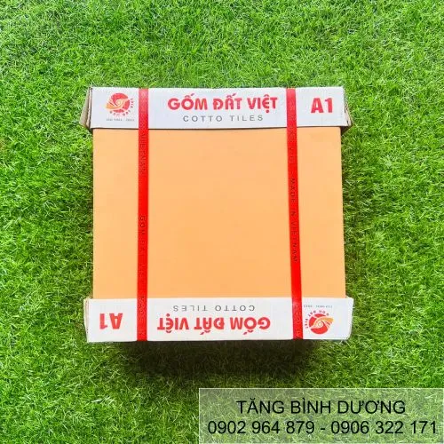 Sản phẩm gach lat dat viet mau kem vang — Công Ty TNHH MTV TM Tăng Bình Dương — MST 0310994552