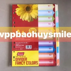 Sản phẩm BIA PHAN TRANG GIAY 10 300x300 — Công Ty TNHH Thương Mại Dịch Vụ Bảo Huy Smile — MST 0311014446