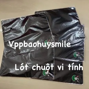 Sản phẩm LOT CHUOT 300x300 — Công Ty TNHH Thương Mại Dịch Vụ Bảo Huy Smile — MST 0311014446