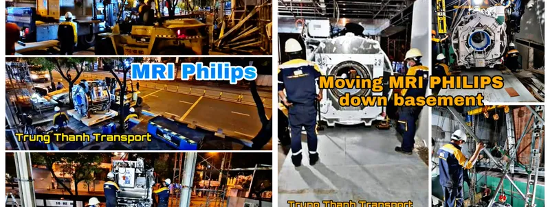 Sản phẩm 7084539318443480 — Công Ty TNHH Dịch Vụ Vận Tải Trung Thành — MST 0311035164