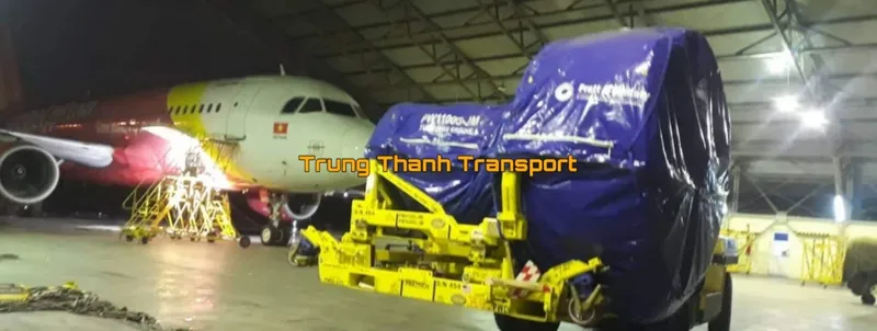 Sản phẩm 8365666081454000 — Công Ty TNHH Dịch Vụ Vận Tải Trung Thành — MST 0311035164