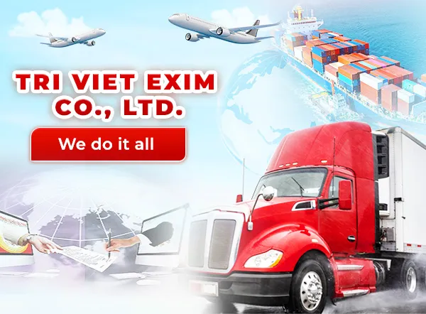 Sản phẩm Anh gthieu — Logistics Trí Việt - Công Ty TNHH Thương Mại Dịch Vụ Xuất Nhập Khẩu Trí Việt — MST 0311041062