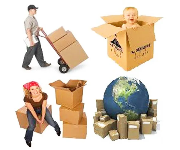 Sản phẩm International freight services2 — Logistics Trí Việt - Công Ty TNHH Thương Mại Dịch Vụ Xuất Nhập Khẩu Trí Việt — MST 0311041062