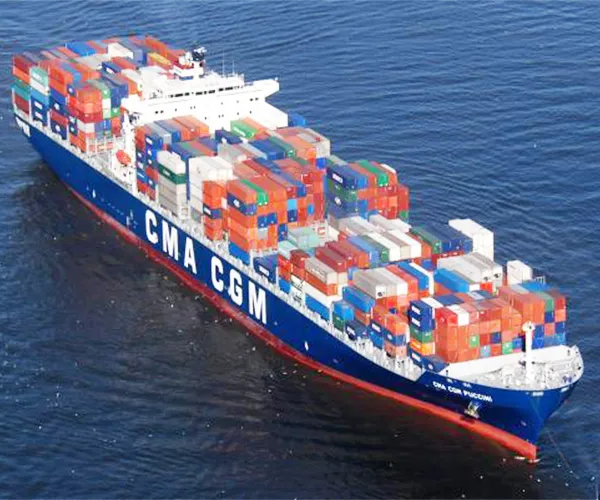 Sản phẩm Sea freight services — Logistics Trí Việt - Công Ty TNHH Thương Mại Dịch Vụ Xuất Nhập Khẩu Trí Việt — MST 0311041062