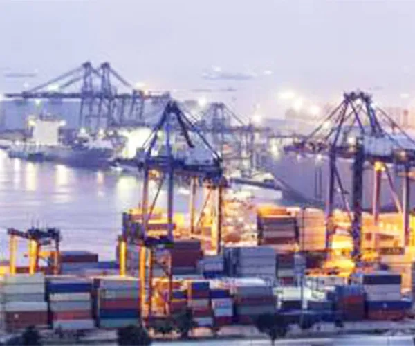 Sản phẩm Sea freight services2 — Logistics Trí Việt - Công Ty TNHH Thương Mại Dịch Vụ Xuất Nhập Khẩu Trí Việt — MST 0311041062