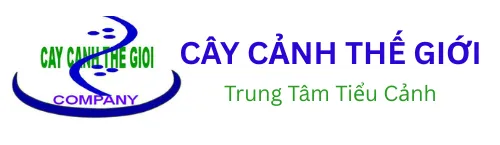 Sản phẩm CAY CANH THE GIOI — Công Ty TNHH Một Thành Viên Cây Cảnh Thế Giới — MST 0311044592