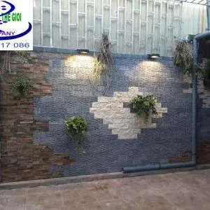 Sản phẩm Tieu canh tranh da op tuong Pleiku 300x300 — Công Ty TNHH Một Thành Viên Cây Cảnh Thế Giới — MST 0311044592