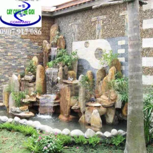 Sản phẩm hon non bo dep nhat 300x300 — Công Ty TNHH Một Thành Viên Cây Cảnh Thế Giới — MST 0311044592