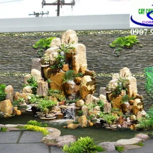 Sản phẩm hon non bo ngoai troi 300x300 — Công Ty TNHH Một Thành Viên Cây Cảnh Thế Giới — MST 0311044592
